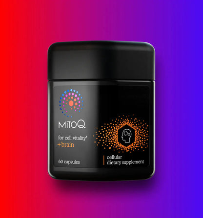 MitoQ +Brain
