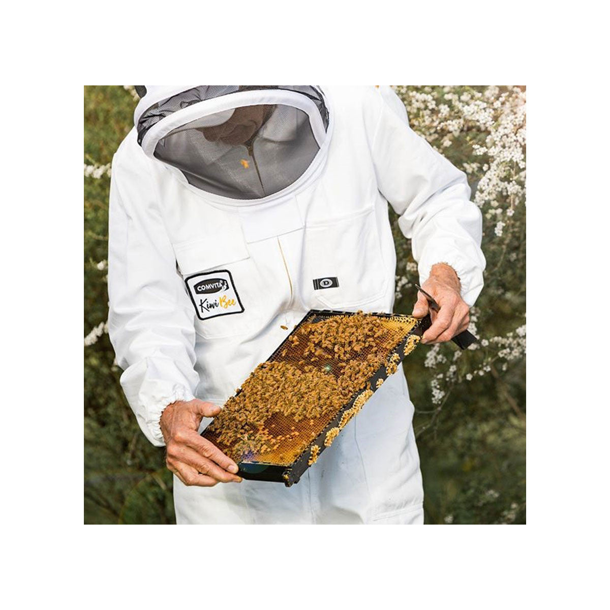 Comvita Manuka Honey UMF 18+