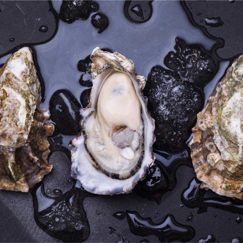 Unichi Zinc Plus Oyster